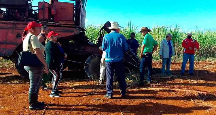 En los cañaverales se insistió en las condiciones de trabajo y el cumplimiento de la tarea diaria. Foto: Sulema Véliz Pina