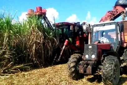 Azucareros de Holguín con fuerzas renovadas en el 2023