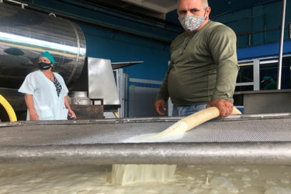 Por mejor estrategia económica industria láctea en Ciego de Ávila