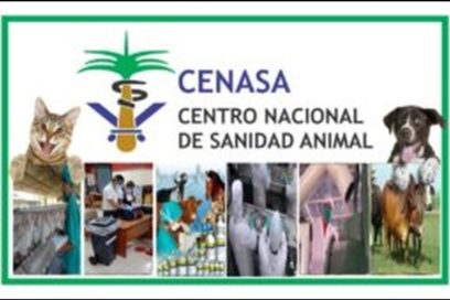 Detectan Influenza Aviar en Cuba