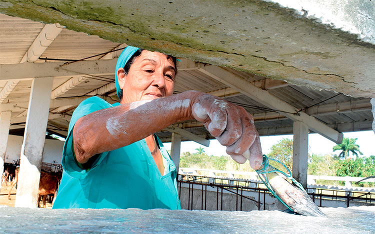 Diversificar, la fórmula infalible. Foto: Agustín Borrego Torres