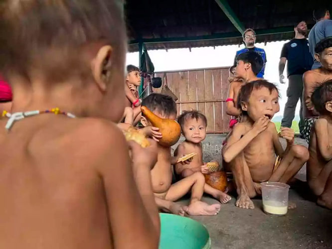 Genocidio en la Amazonía brasileña. Foto: Delegación de Gobierno