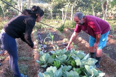Hacer agricultura sin dañar el medio ambiente