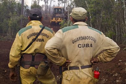 Enfrentan incendio de grandes proporciones en municipio de Mayarī