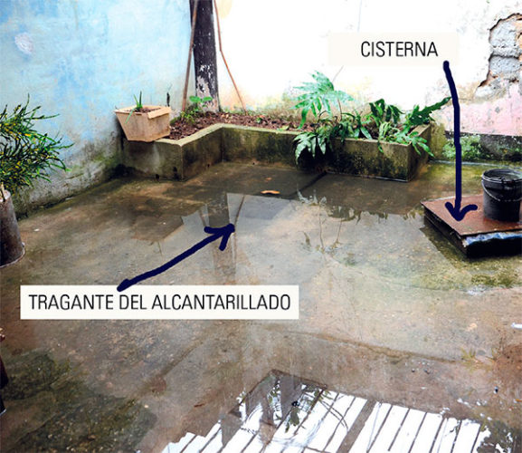 Foto: Agustín Rey Borrego Torres