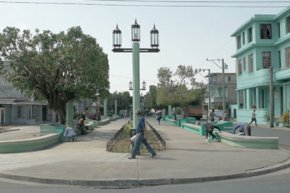 Por el renacer de la vegetación urbana