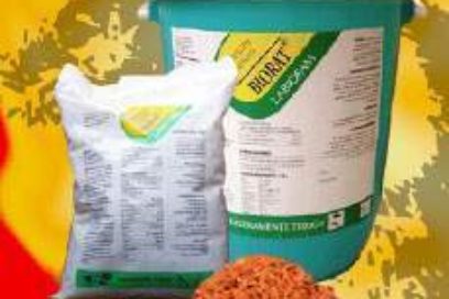 En fase de puesta en marcha complejo industrial para bioproductos