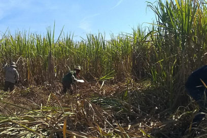 Celebraron aniversario 58 del Movimiento Millonario