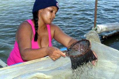 Iniciará en Holguín jornada de celebraciones por el Día del Trabajador de la Industria Pesquera