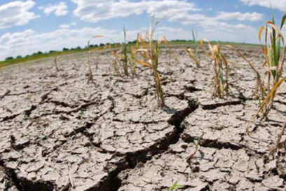 Día Mundial del Agua: ¿Los manantiales están de vacaciones? (+ Fotos)