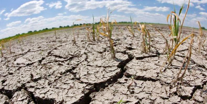 A Cuba no le resulta ajena la sequía. Foto: Sitio Web de Radio Habana Cuba