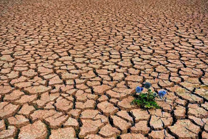 Sequía meteorológica y agrícola afecta amplias zonas del país