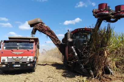 Desamargar la zafra en Ciego de Ávila