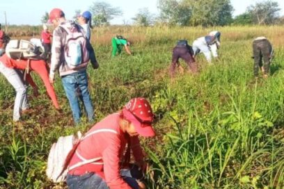 Primero de Mayo Cuando la Patria convoca (+ Fotos)