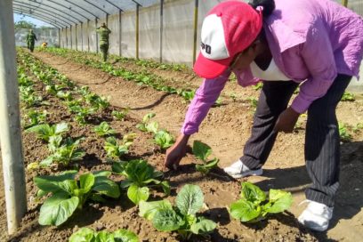Trabajadores holguineros activos en saludo al Primero de Mayo