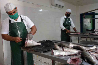 Reconocerán a trabajadores de la pesca en Santiago de Cuba