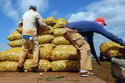 Un homenaje pegado al surco