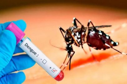 Cuba inicia estudios preclínicos de vacuna contra el dengue