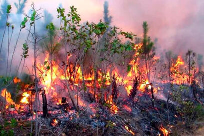 Continúa combate a incendio forestal en Pinar del Río
