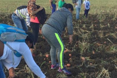 Desde el surco, Primero de Mayo en Villa Clara