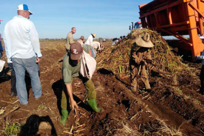 Movilizaciones productivas que aportan (+ Fotos)