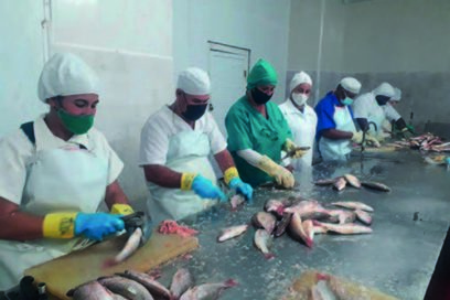 Caibarién, una pesca de calidad