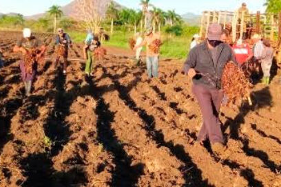 Primero de Mayo en Sancti Spíritus: hacer, sembrar y aportar