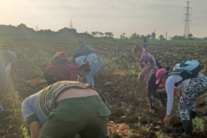Al surco, una vez más por el Primero de Mayo