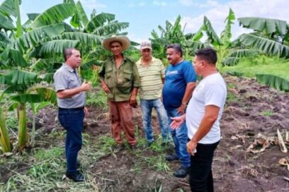 Sindicato de la Construcción hacia II Conferencia Nacional