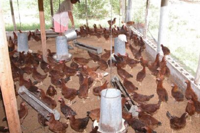 Cambiar fórmulas y producir alimentos