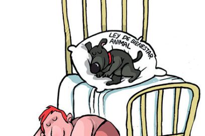 Bienestar animal, y humano