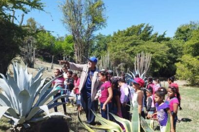 Sobresale Granma en acciones medioambientales