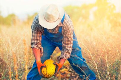 Estrés térmico en el trabajo, permanente preocupación del mundo laboral