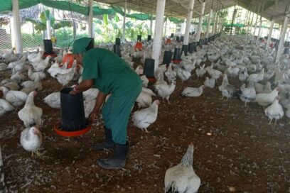 En la tierra lo tenemos todo