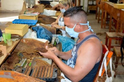 Presidente cubano reconoce a los tabacaleros cubanos en su día