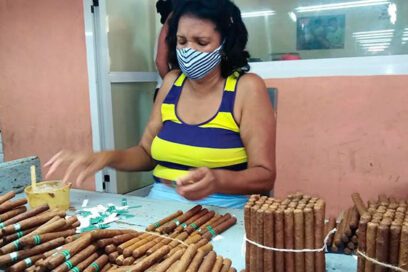 Comienza homenaje a tabacaleros en Ciego de Ávila