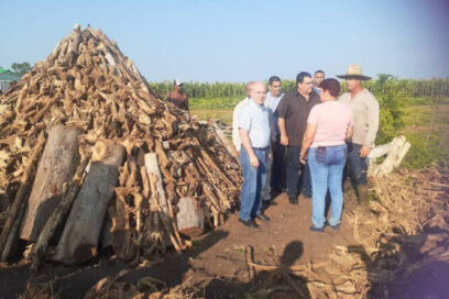 Recorre Morales Ojeda áreas productivas de Pinar del Río (+Fotos)