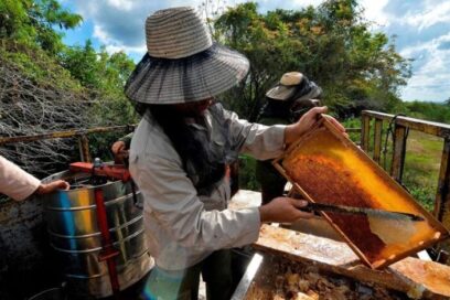 Lejos de complacer las exportaciones en Matanzas