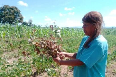 ¿Agricultura contra naturaleza? (+ Fotos)