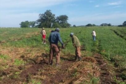 CTC Santiago de Cuba renueva compromisos vísperas del 26 de Julio