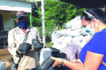 La Agroforestal Matanzas siempre gana