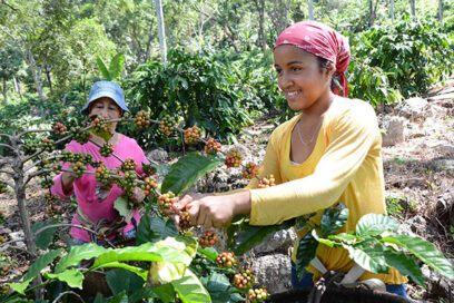 En las montañas se fomenta desarrollo