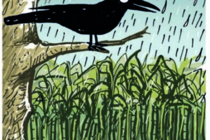 Las lluvias ¿un chivo expiatorio?