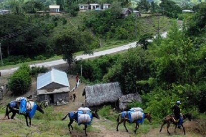 Precisan transformar resultados productivos en las montañas