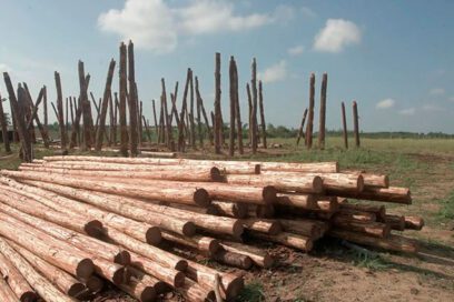 Vida, belleza y un poco más… (+ Fotos)