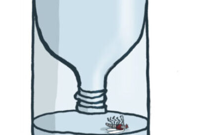 500 VERANIEGAS: ¡A cazar mosquitos!