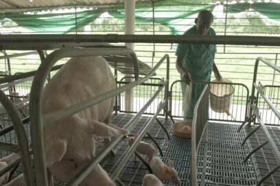 Otra forma de “multiplicar” el salario