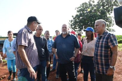 Recorre Primer Ministro áreas agrícolas de Artemisa