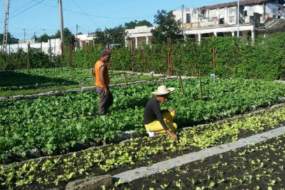 Las UBPC son más realistas