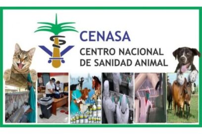 Actualizan normas sobre facilitación de importaciones de alimentos de origen animal por viajeros y personas naturales